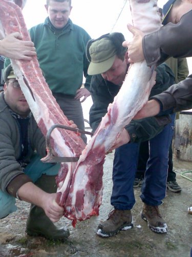 Vepřové hody - 29.12.2006